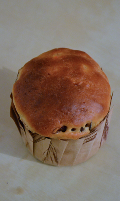 Panettone