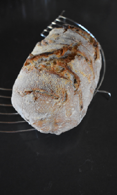 Pain au levain à l'érable et aux noix